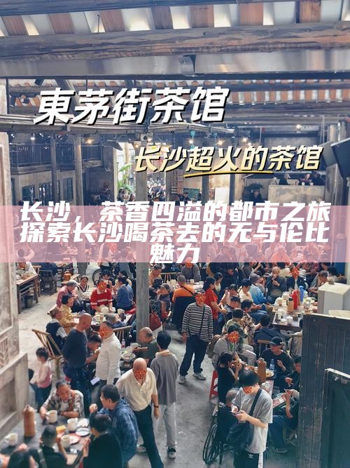长沙，茶香四溢的都市之旅，解锁喝茶的独特魅力